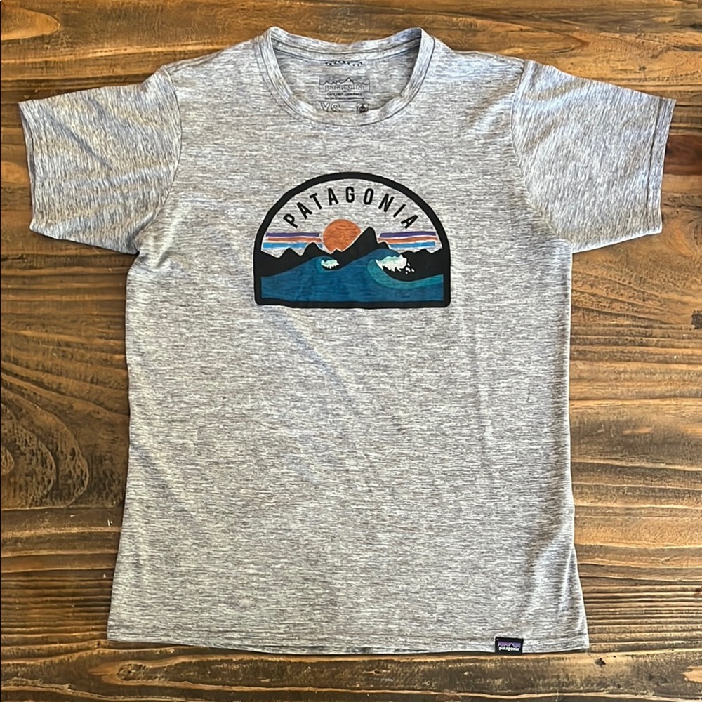 Patagonia Gray Scenic Graphic Short Sleeve Tee